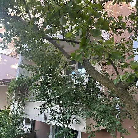 Karaagac