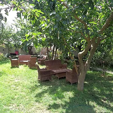 Karaagac