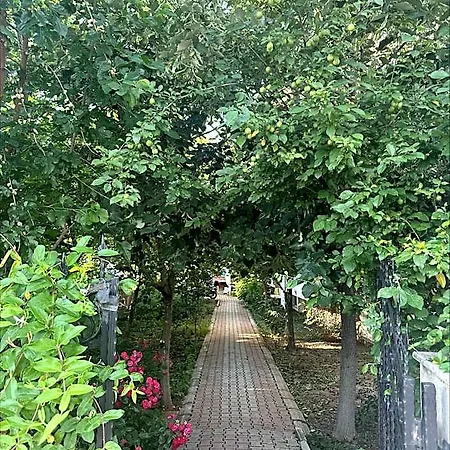 Karaagac Lägenhetshotell Edirne